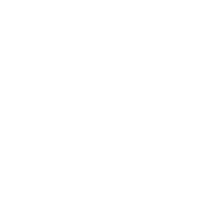 Victoria's Secret